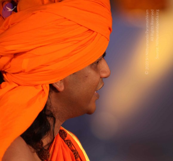 IMG_0999_CMP_WM Done