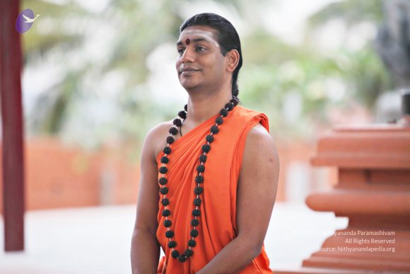 20110225_Photo_1001_IMG_0844_CMP_WM