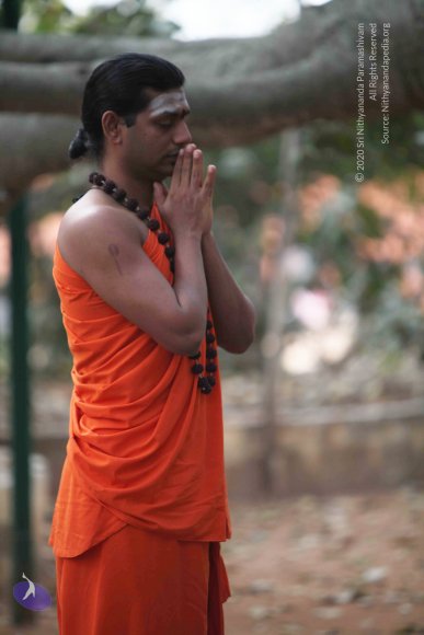 20110225_Photo_1043_IMG_0787_CMP_WM