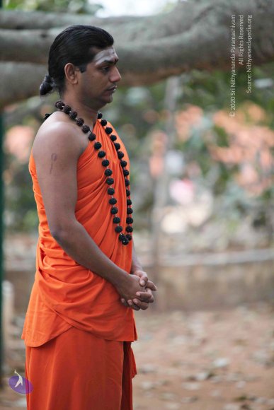 20110225_Photo_1049_IMG_0782_CMP_WM