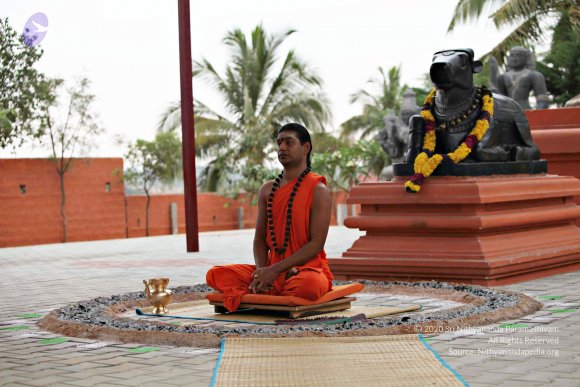 20110225_Photo_1050_IMG_0852_CMP_WM