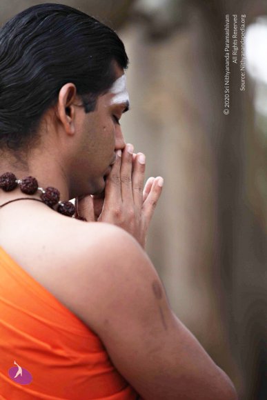 20110225_Photo_1082_IMG_0776_CMP_WM