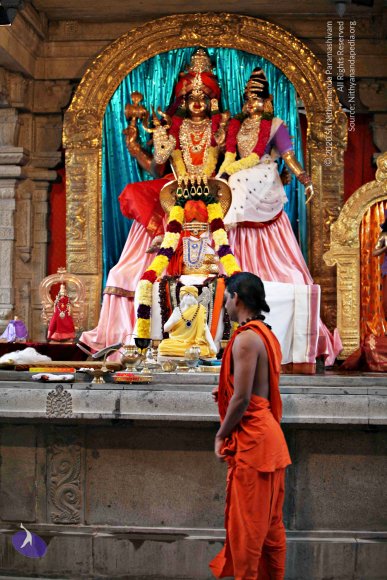 20110225_Photo_1087_IMG_0750_CMP_WM