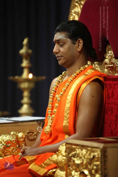 20110225_Photo_1001_IMG_0967_CMP_WM