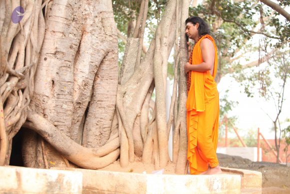 20110225_Photo_1044_IMG_1769_CMP_WM