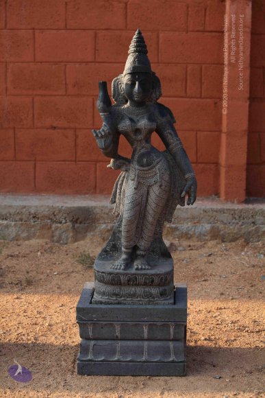 20110228_Photo_1003_IMG_0029_CMP_WM