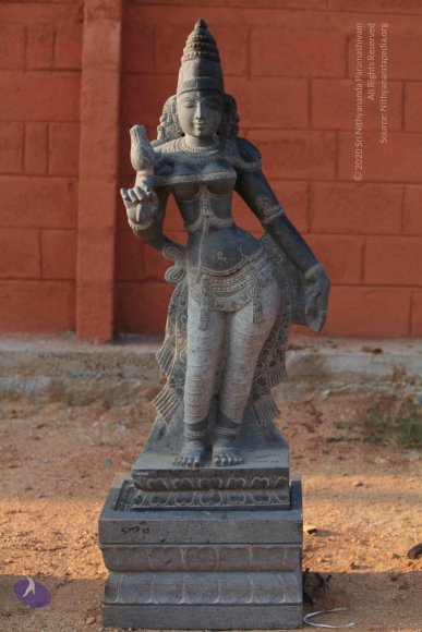 20110228_Photo_1004_IMG_0030_CMP_WM