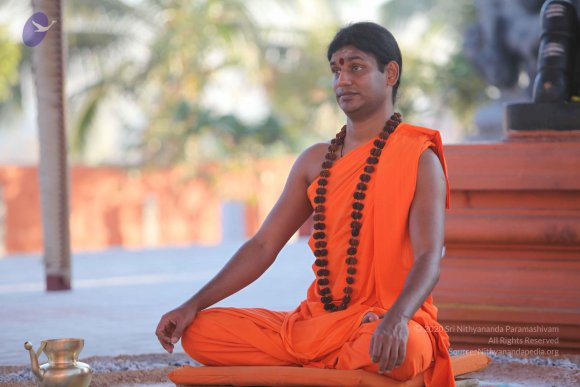 20110201_Photo_1169_IMG_2524_CMP_WM