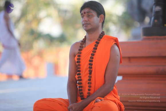 20110201_Photo_1170_IMG_2513_CMP_WM