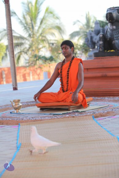 20110201_Photo_1172_IMG_2535_CMP_WM