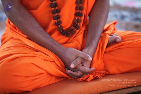 20110201_Photo_1174_IMG_2416_CMP_WM