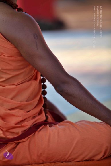 20110202_Photo_1041_IMG_3136_CMP_WM