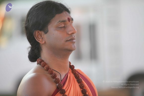 20110202_Photo_1043_IMG_3154_CMP_WM