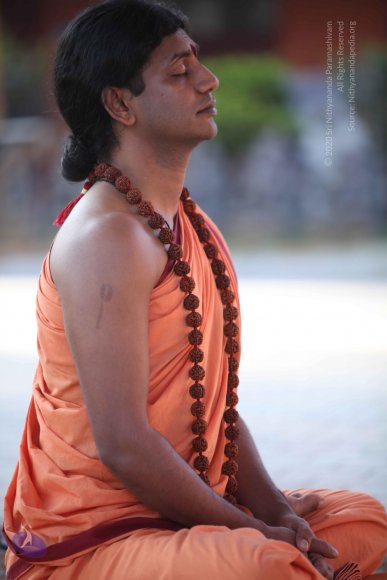 20110202_Photo_1118_IMG_3225_CMP_WM