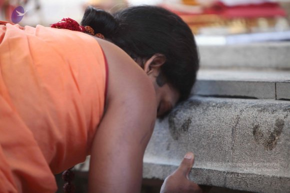 20110202_Photo_1166_IMG_3071_CMP_WM