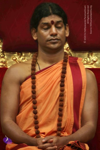 20110202_Photo_1052_IMG_3357_CMP_WM