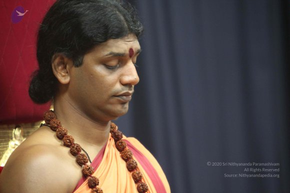 20110202_Photo_1062_IMG_3429_CMP_WM