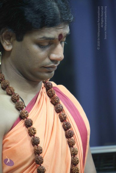 20110202_Photo_1096_IMG_3423_CMP_WM