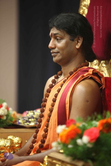 20110202_Photo_1254_IMG_3322_CMP_WM