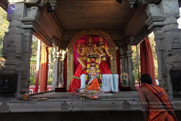 20110211_Photo_1000_IMG_7166_CMP_WM