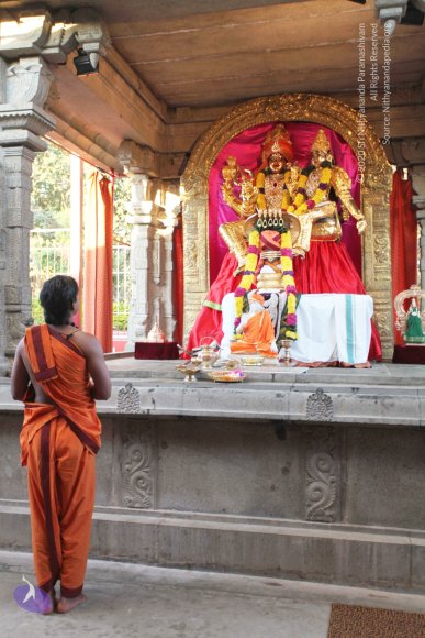 20110211_Photo_1013_IMG_7169_CMP_WM