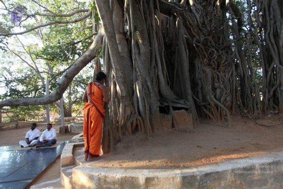 20110211_Photo_1015_IMG_7182_CMP_WM