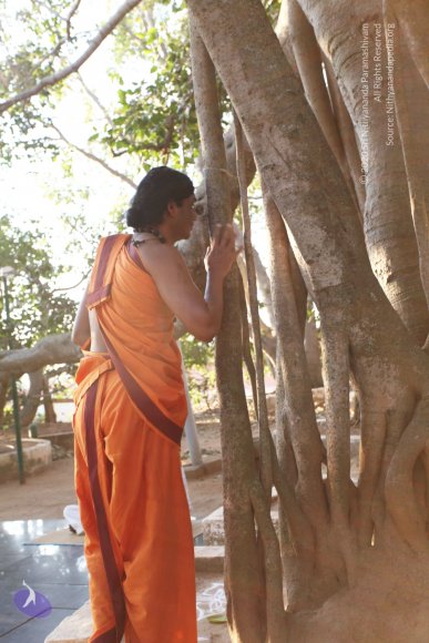 20110211_Photo_1023_IMG_7184_CMP_WM