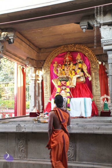 20110211_Photo_1033_IMG_7168_CMP_WM