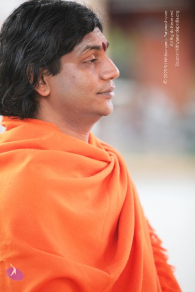 20110211_Photo_1000_IMG_7199_CMP_WM