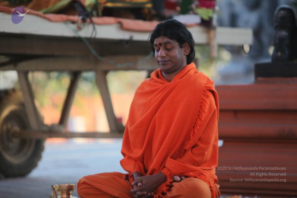 20110211_Photo_1005_IMG_7260_CMP_WM