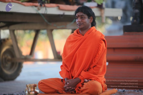 20110211_Photo_1010_IMG_7252_CMP_WM