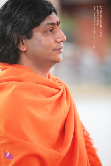 20110211_Photo_1027_IMG_7200_CMP_WM