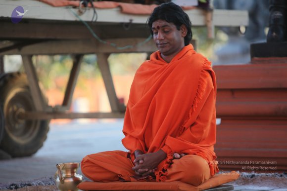 20110211_Photo_1052_IMG_7261_CMP_WM