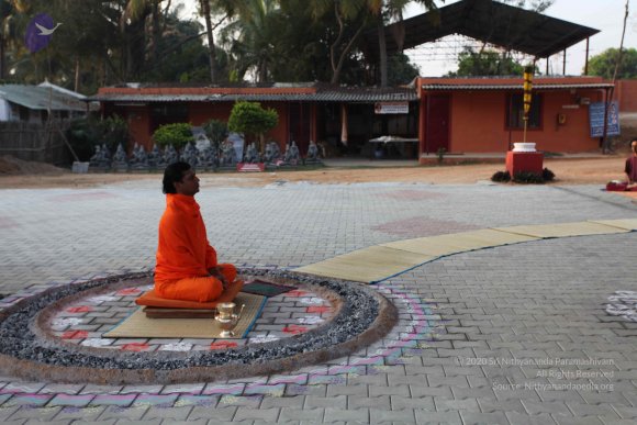 20110217_Photo_1098_IMG_1370_CMP_WM