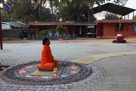 20110217_Photo_1171_IMG_1367_CMP_WM