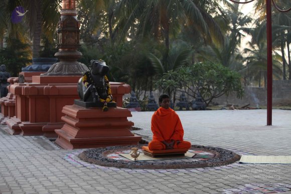 20110217_Photo_1199_IMG_1390_CMP_WM