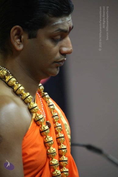 20110222_Photo_1186_IMG_9132_CMP_WM