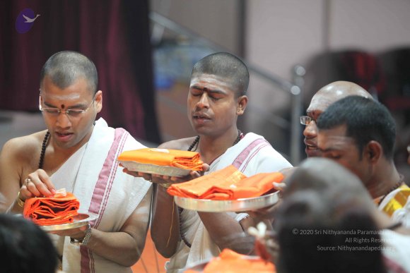 20110121_Photo_1026_IMG_2174_CMP_WM