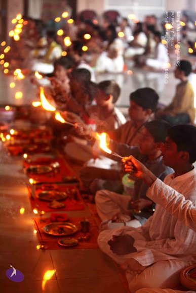 20110121_Photo_1065_IMG_2209_CMP_WM