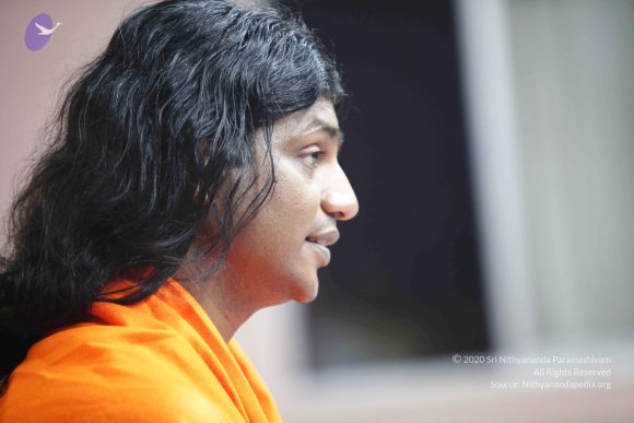 20110121_Photo_1001_IMG_2545_CMP_WM