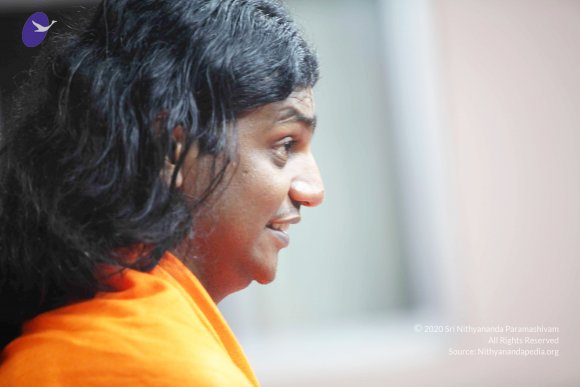 20110121_Photo_1046_IMG_2637_CMP_WM