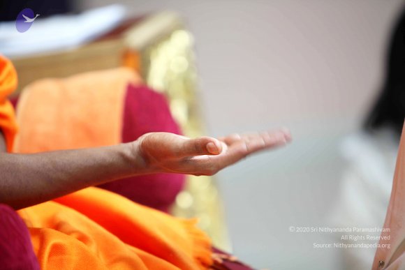 20110121_Photo_1050_IMG_2662_CMP_WM