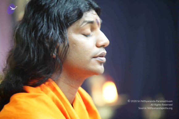 20110121_Photo_1059_IMG_2550_CMP_WM