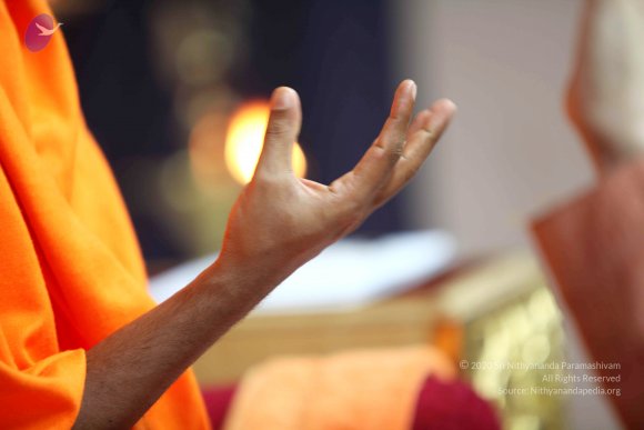 20110121_Photo_1087_IMG_2565_CMP_WM