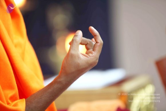 20110121_Photo_1092_IMG_2568_CMP_WM