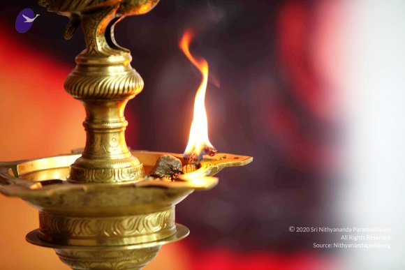 20110121_Photo_1093_IMG_2654_CMP_WM