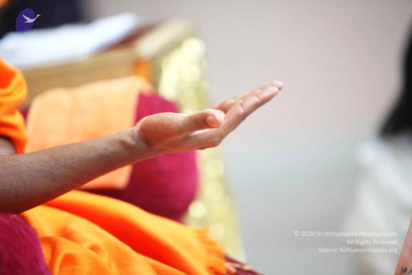 20110121_Photo_1094_IMG_2663_CMP_WM