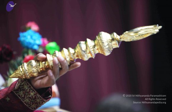 20110123_Photo_1049_IMG_6992_CMP_WM