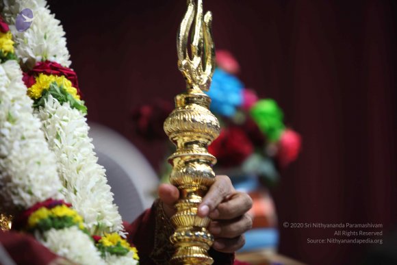 20110123_Photo_1050_IMG_6994_CMP_WM