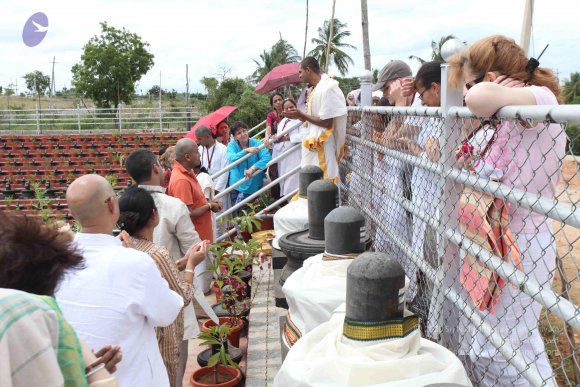 20110717_Photo_1026_IMG_4808_CMP_WM